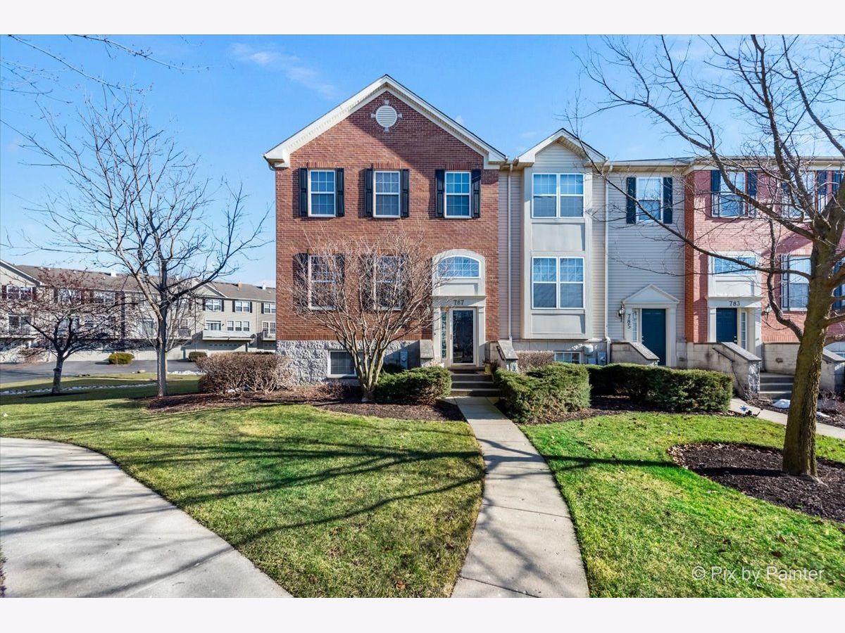 Townhomes & Homes Sold Castle Creek Bartlett Illinois, 787 Thornbury