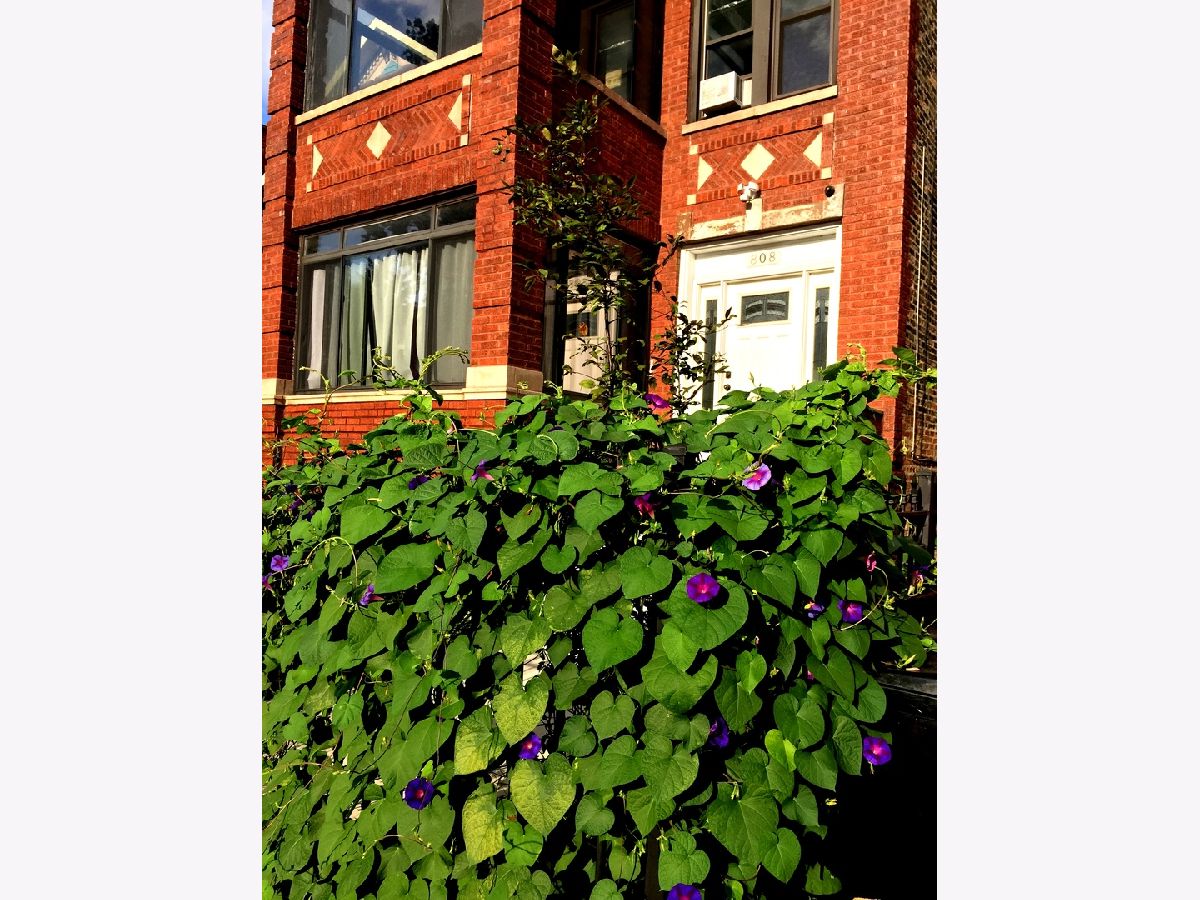 Condominiums & Homes Rented Tri-taylor Chicago Illinois, 808 Bell