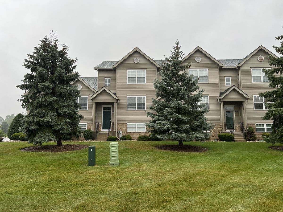 Townhomes & Homes Rented Pine Valley Lockport Illinois, 2014 Austrian Pine
