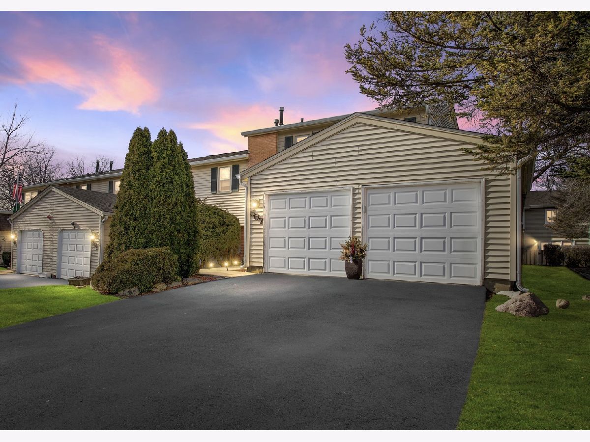 Townhomes Sold Winston Village Bolingbrook Illinois, 507 Monroe