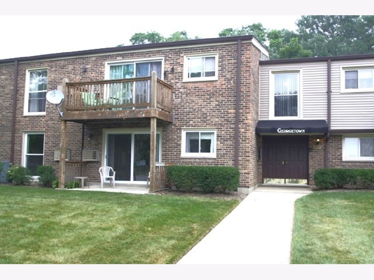 Condominiums Rented Georgetown Palatine Illinois, 337 Carter