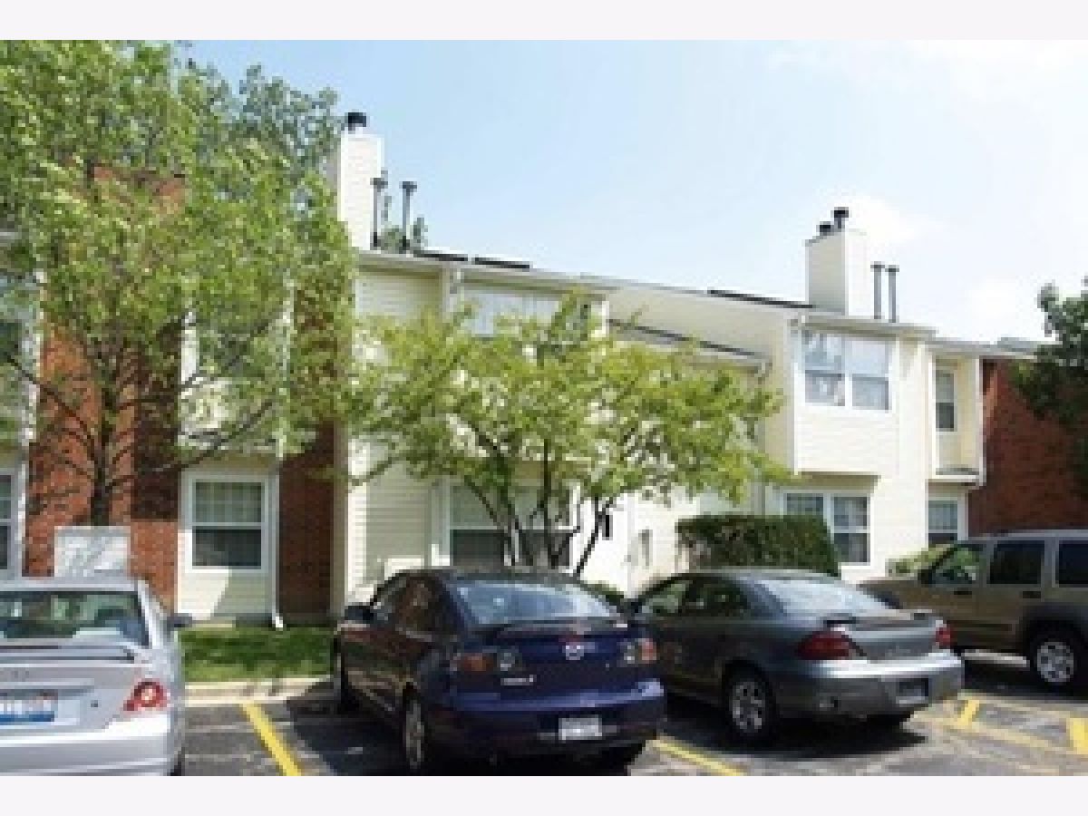 Condos & Townhomes Rented Wyndham Club Palatine Illinois, 1397 Wyndham