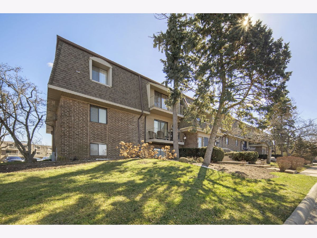Condominiums Sold Olive Trees Naperville Illinois, 104 Bailey
