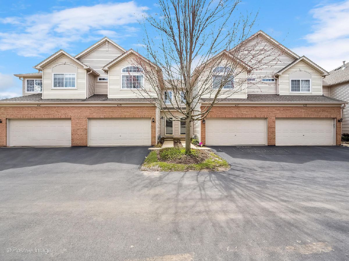 Townhomes Sold Abington Trace Aurora Illinois, 439 Jamestown