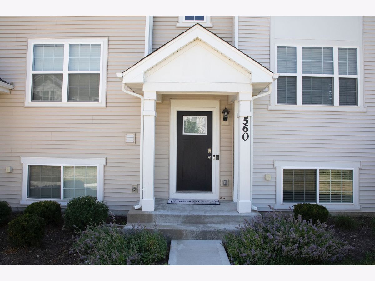 Townhomes & Condos & Homes Sold Silver Leaf Joliet Illinois, 560 Spring Leaf