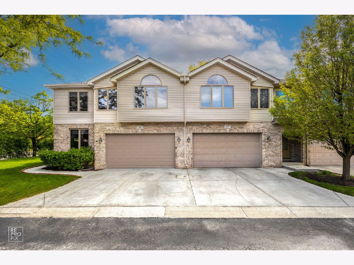 Townhomes Sold Meadow Glen Roselle Illinois, 699 Nerge