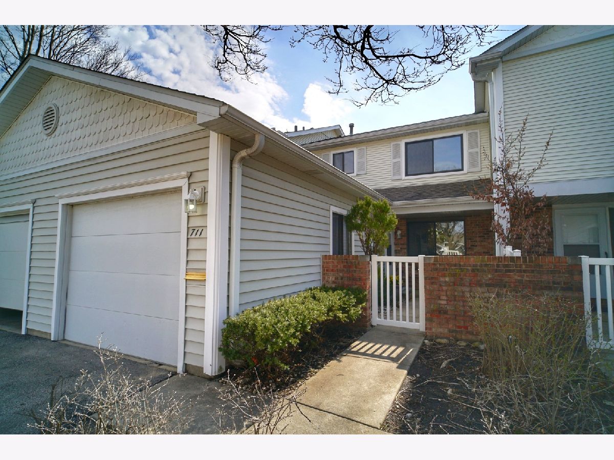 Townhomes & Condos Sold Dunbar Lakes Schaumburg Illinois, 711 Mariner