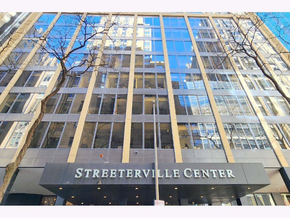 Condos & Townhomes Sold Streeterville Chicago Illinois, 233 Erie