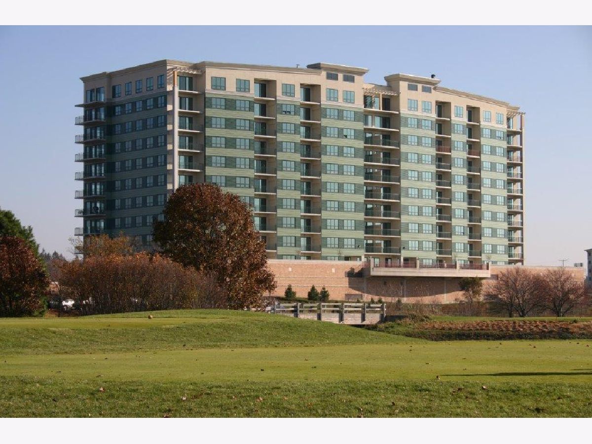 Homes & Condos & Townhomes Rented Seven Bridges Woodridge Illinois, 6420 Double Eagle