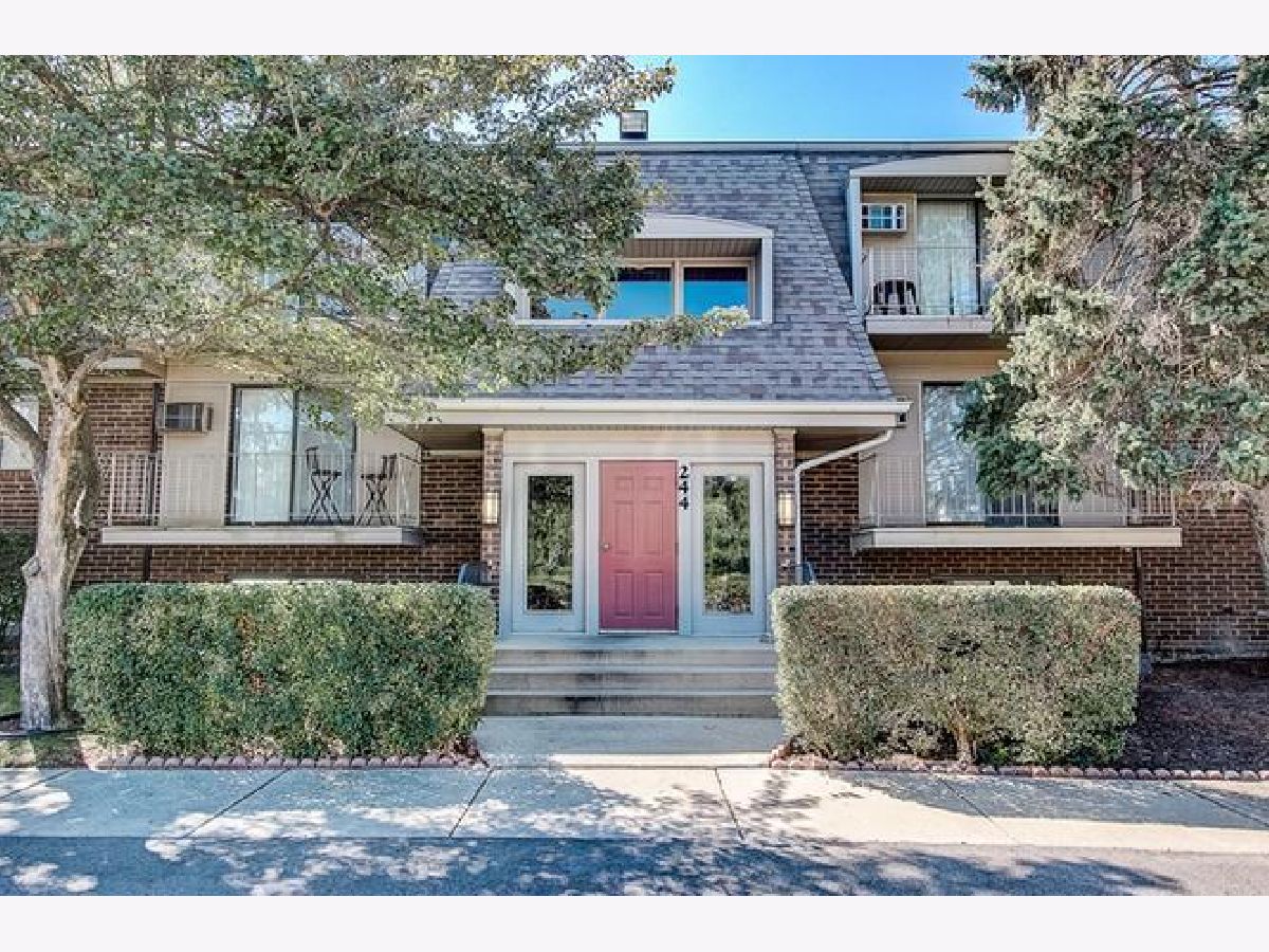 Condominiums Sold Olive Trees Naperville Illinois, 244 Bailey