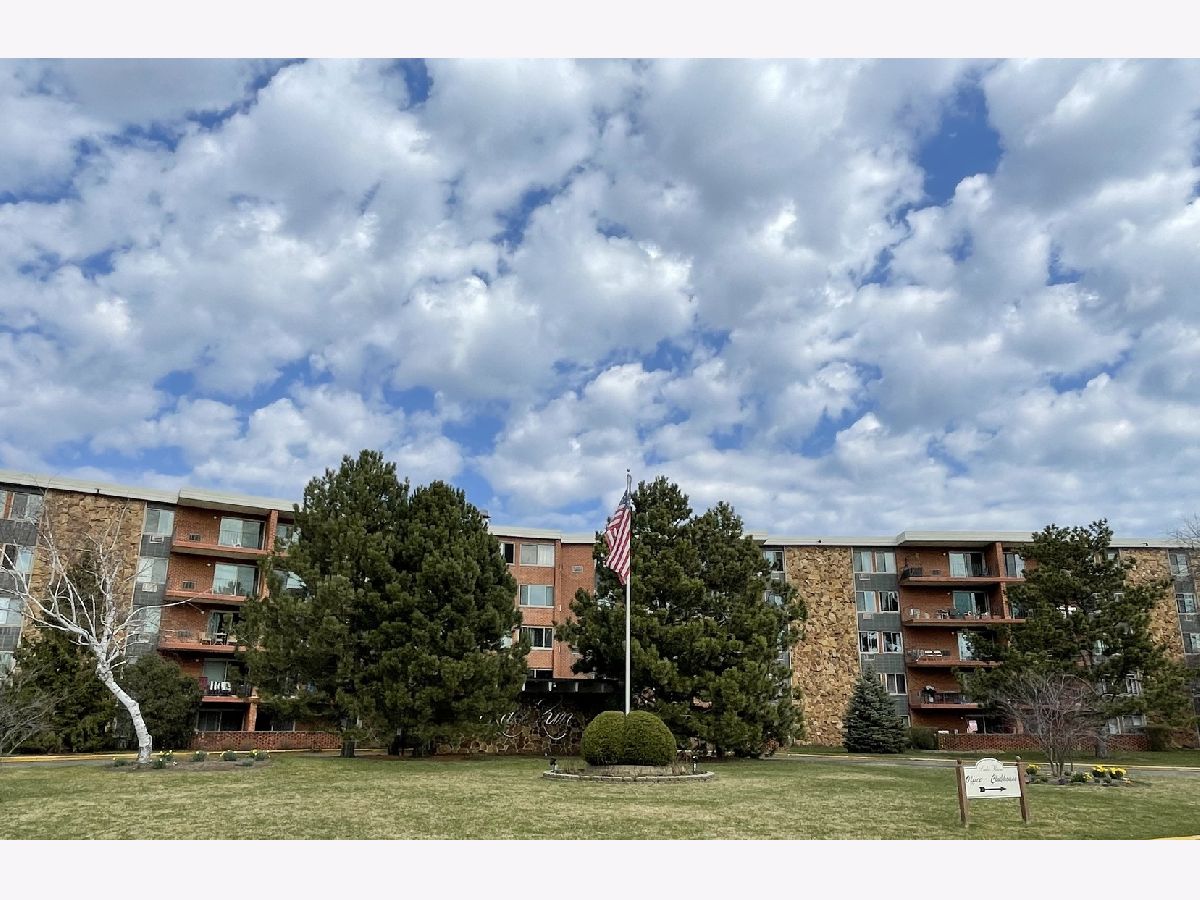 Condominiums Sold Lake Run Prospect Heights Illinois, 18 Old Willow