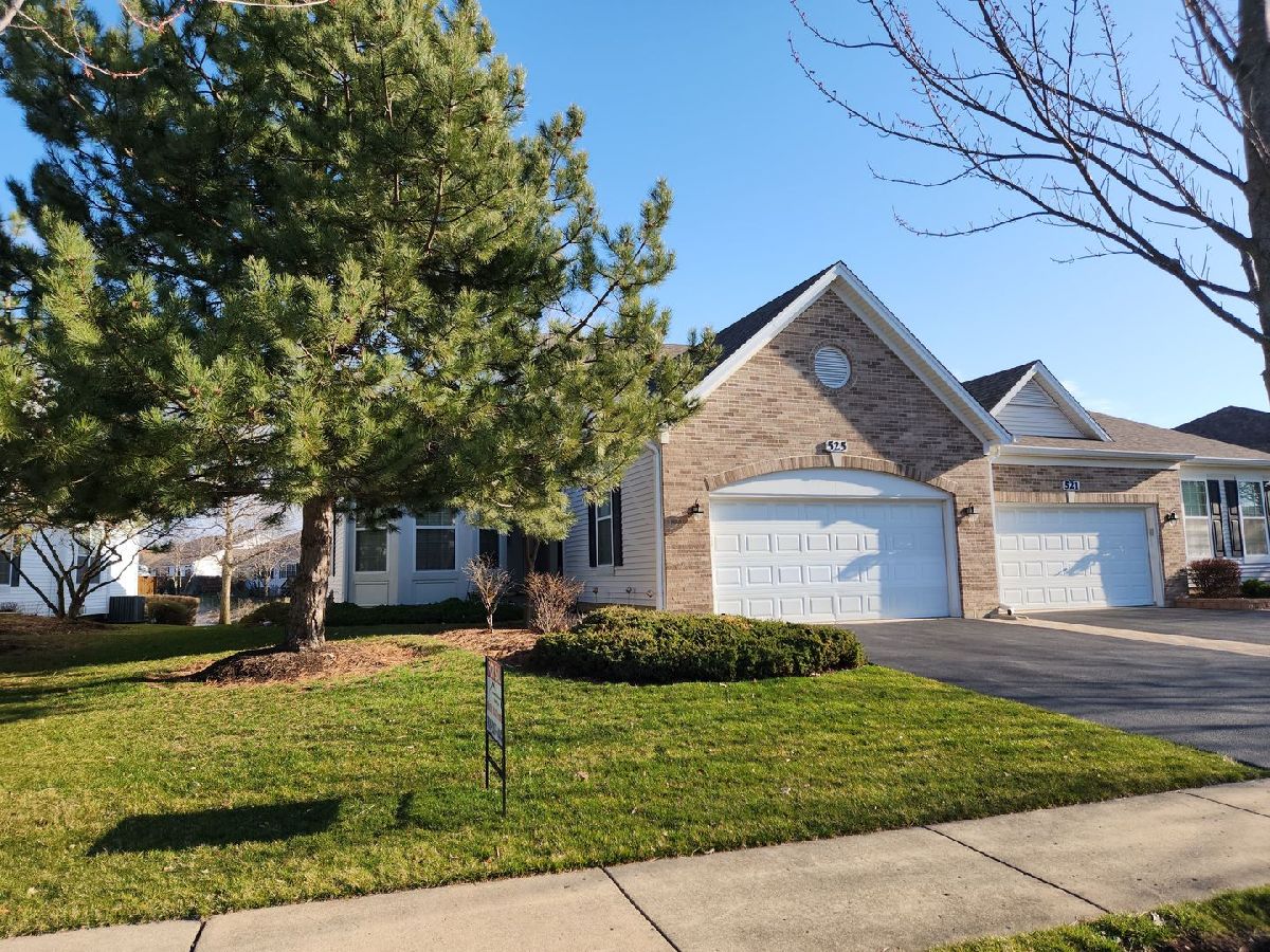 Condos & Townhomes Sold Central Park Carol Stream Illinois, 525 Woodhill