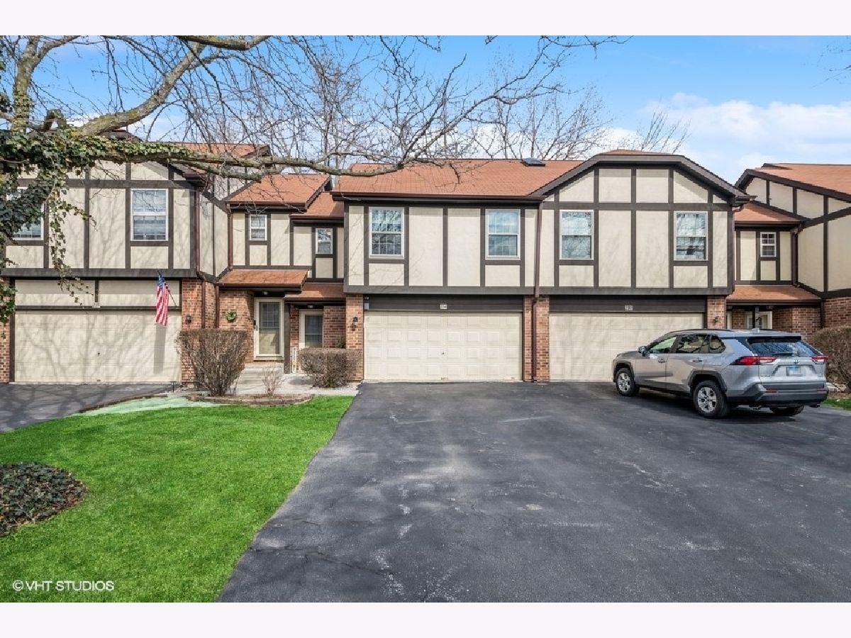 Townhomes & Condos Sold Medinah Lakes Bloomingdale Illinois, 234 Willow Bridge