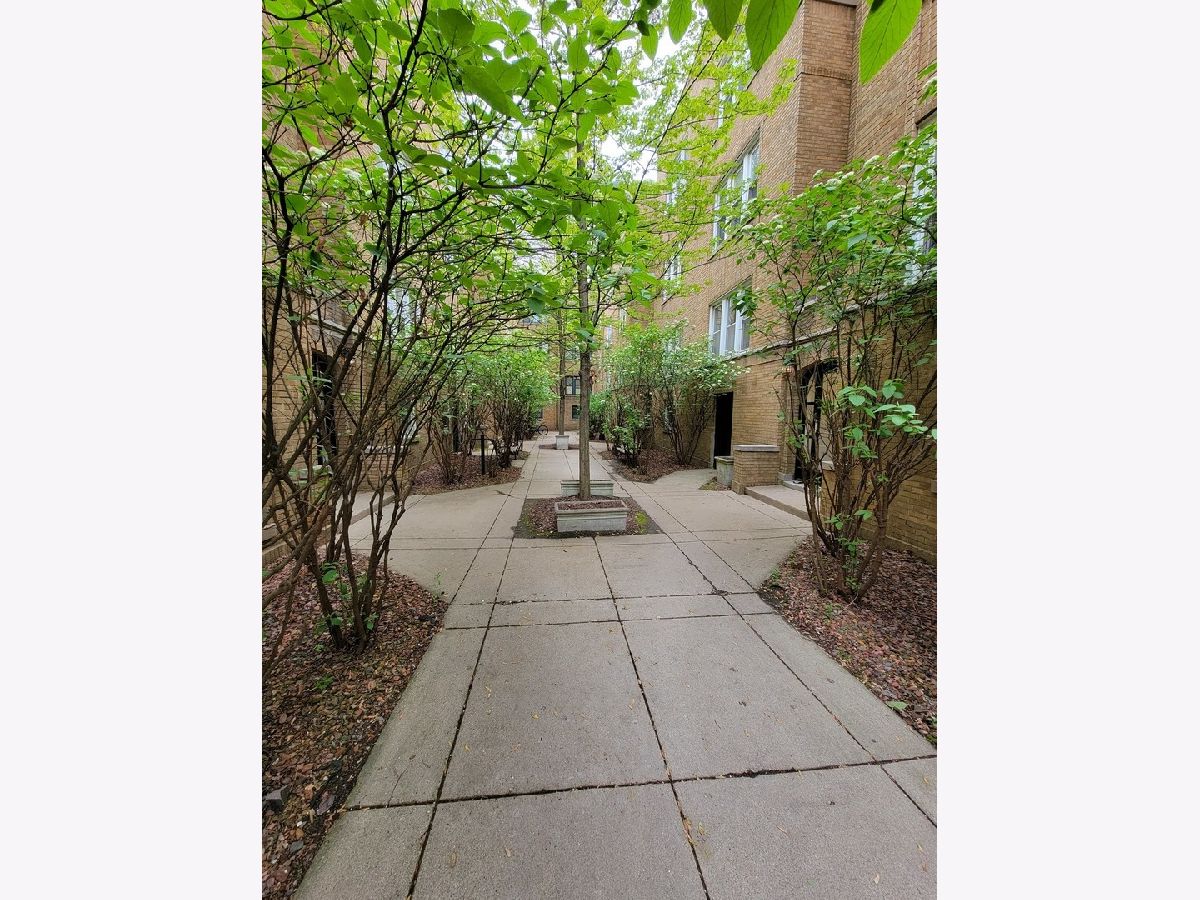 Condominiums & Homes Rented Lincoln Park 2520 Chicago Illinois, 685 Wrightwood