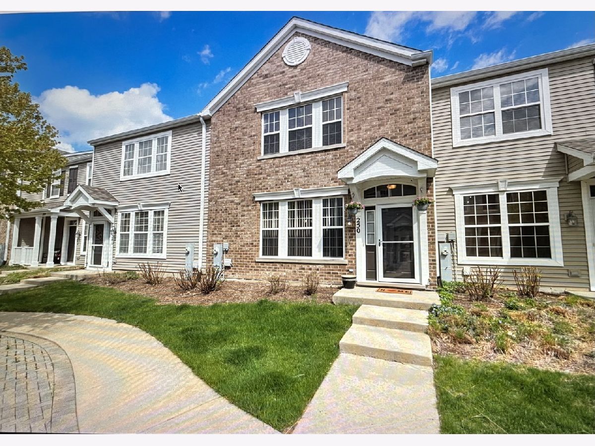 Homes & Townhomes Rented Farmington Lakes Oswego Illinois, 250 Springbrook