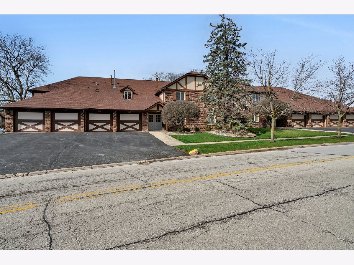 Condos & Townhomes & Homes Sold Orlan Brook Orland Park Illinois, 15502 Orlan Brook