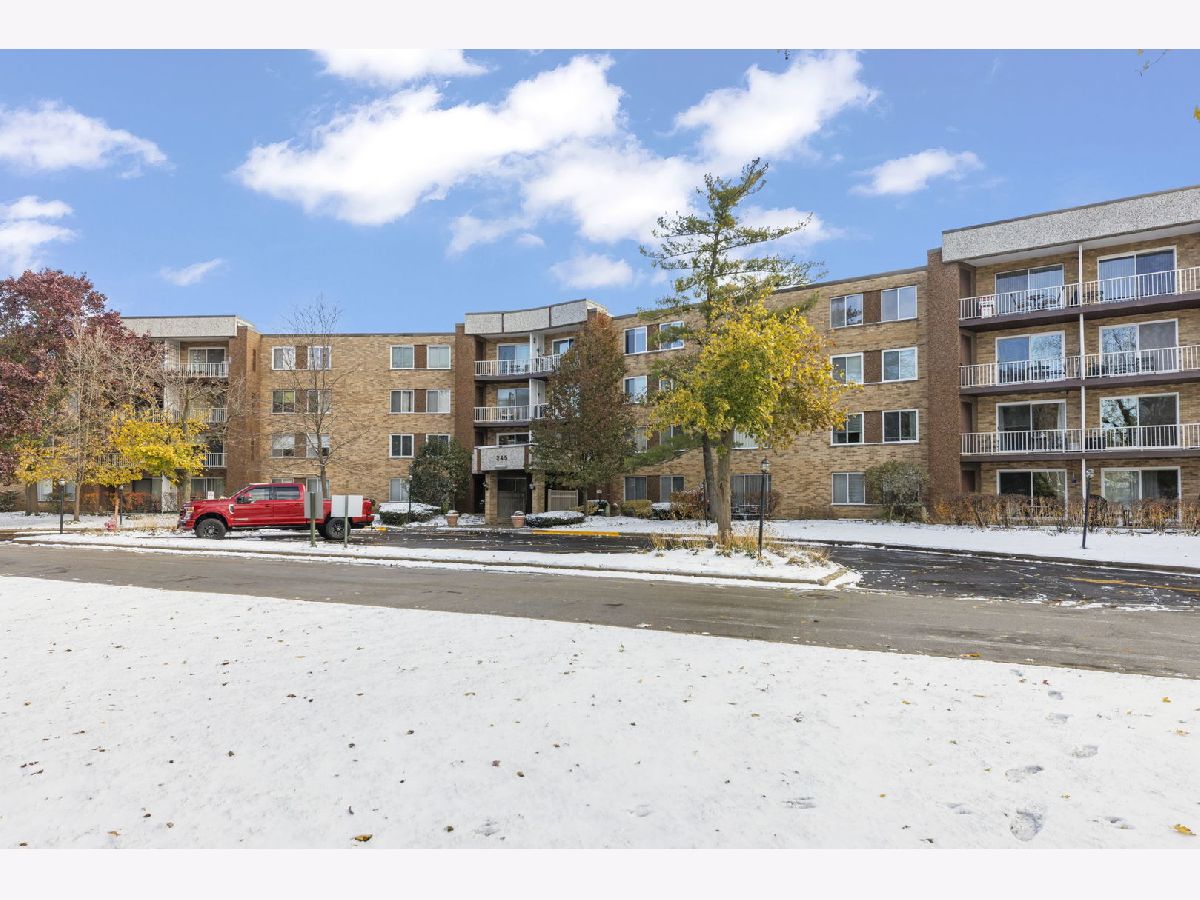 Condominiums For Sale Willow Creek Palatine Illinois, 245 Park Lane