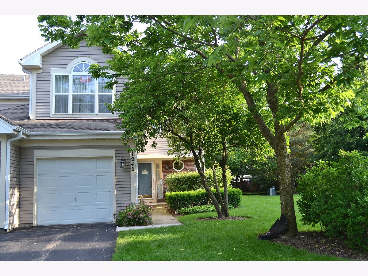 Townhomes & Condos & Homes Rented Cobblers Crossing Elgin Illinois, 1246 Shawford