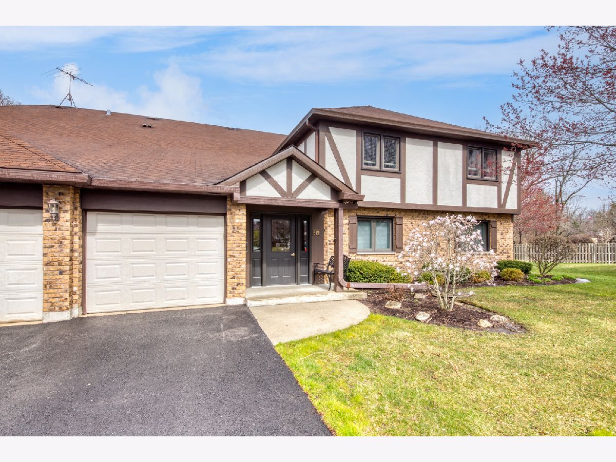 Condos & Townhomes Sold Banyon Cove La Grange Illinois, 519 Banyon