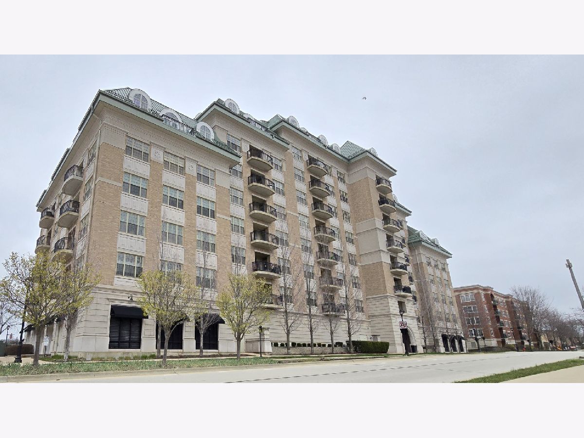 Condominiums Rented The Providence Palatine Illinois, 50 Plum Grove