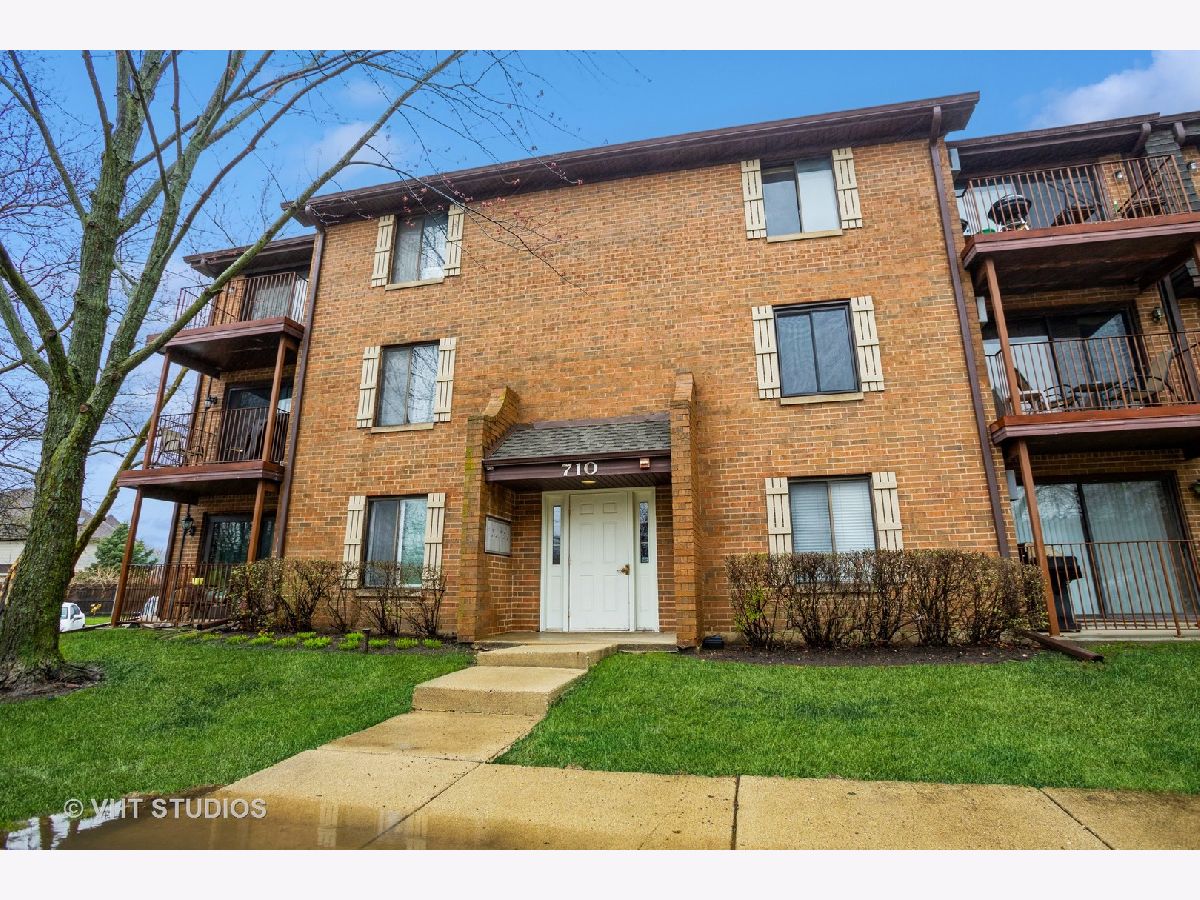 Condominiums Sold Briar Hill Addison Illinois, 710 Briar Hill