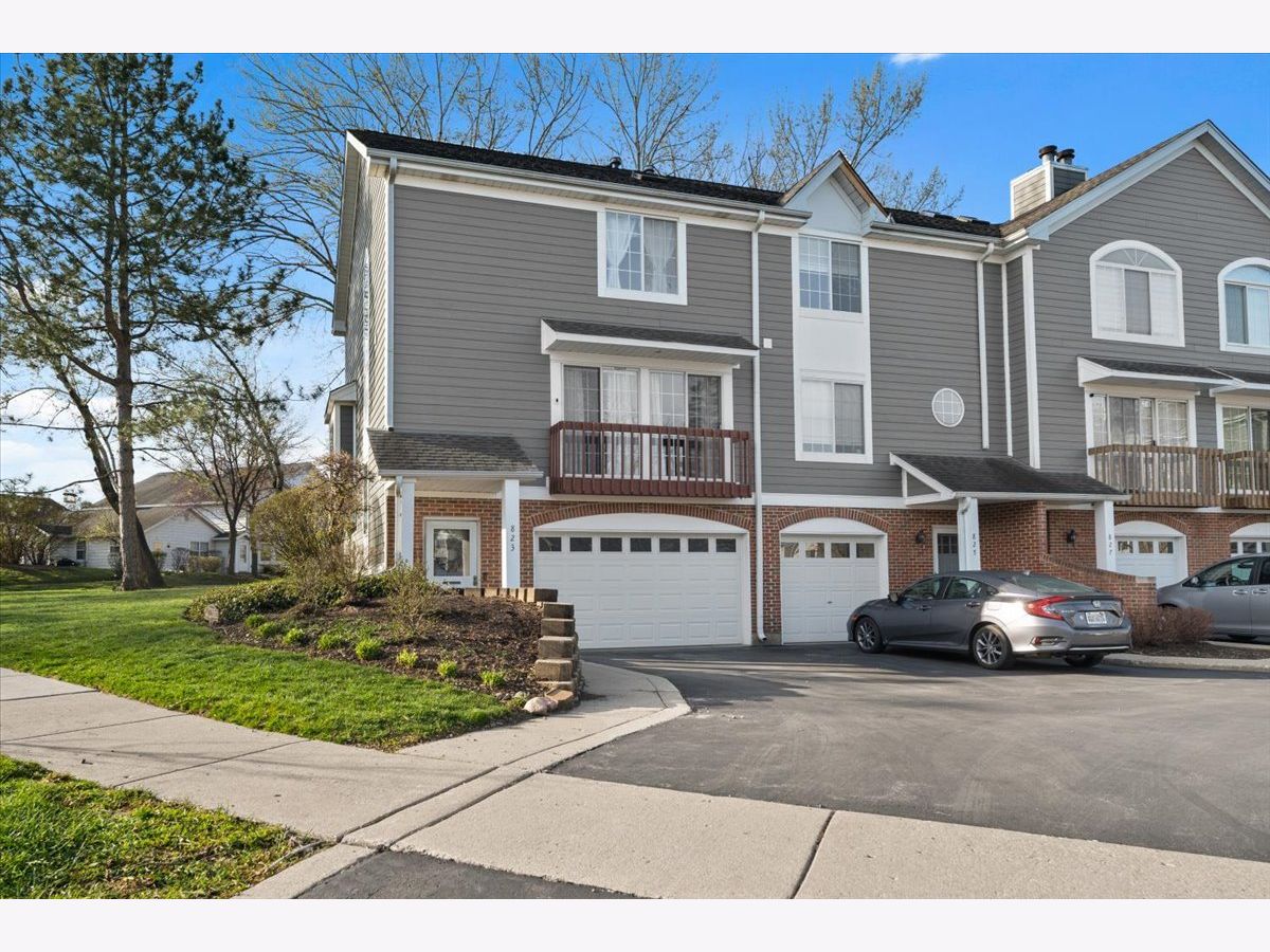 Townhomes Sold Hickory Hill Palatine Illinois, 823 Saint Johns