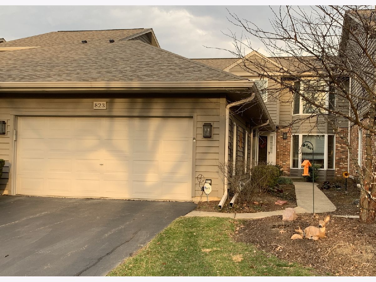 Townhomes Sold Saddlewood Glen Ellyn Illinois, 823 Saddlewood