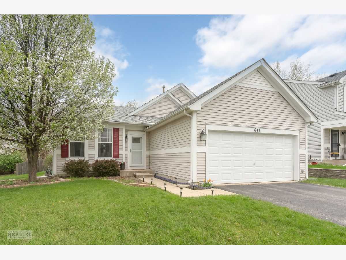 Homes & Townhomes & Condos Sold Chesterfield North Aurora Illinois, 641 Hamilton