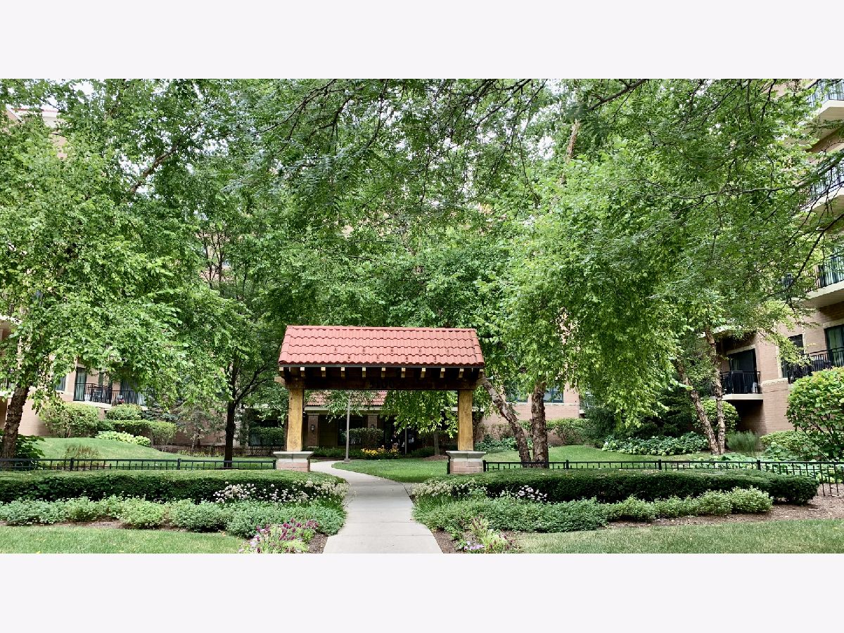 Condominiums Rented Arbor Court Oak Lawn Illinois, 5100 96th