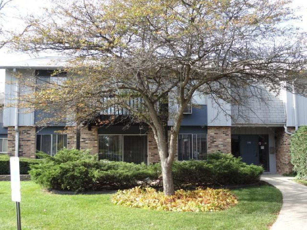 Condominiums Sold Willow Woods Prospect Heights Illinois, 948 Old Willow