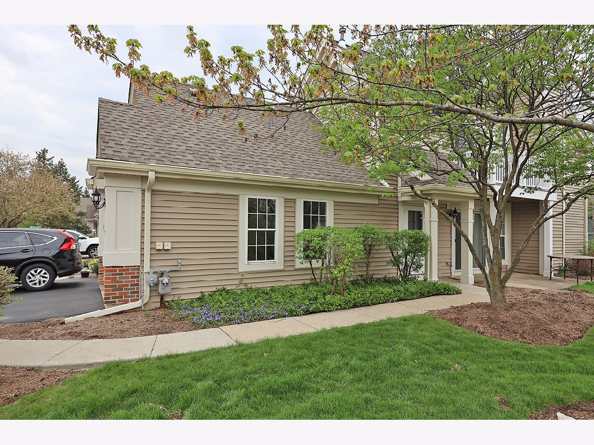 Townhomes & Condos & Homes Rented Talbots Mill Elk Grove Village Illinois, 1078 Talbots