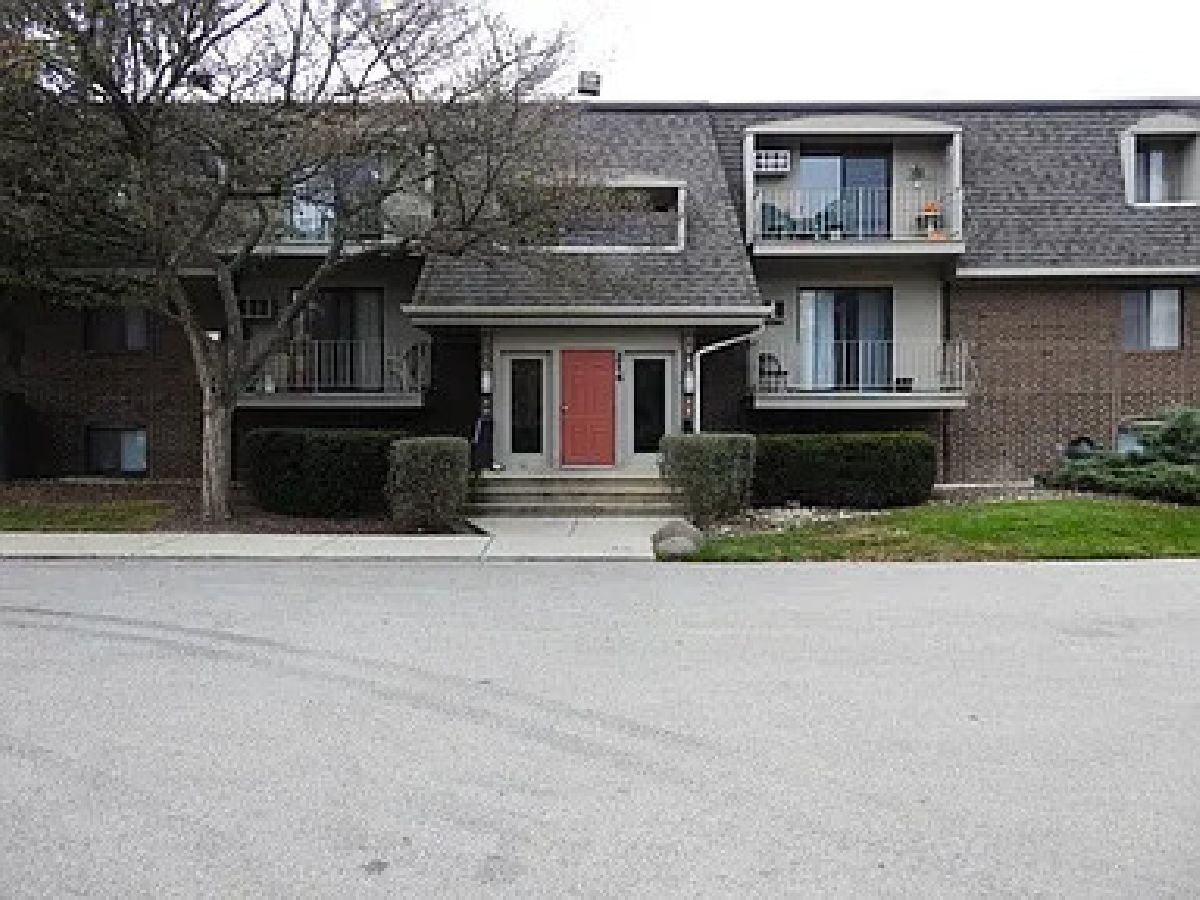 Condominiums Sold Olive Trees Naperville Illinois, 214 Bailey