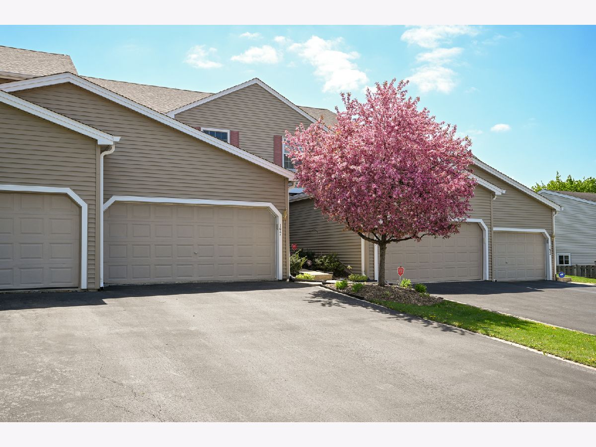 Townhomes Sold Winston Village Bolingbrook Illinois, 197 Pamela