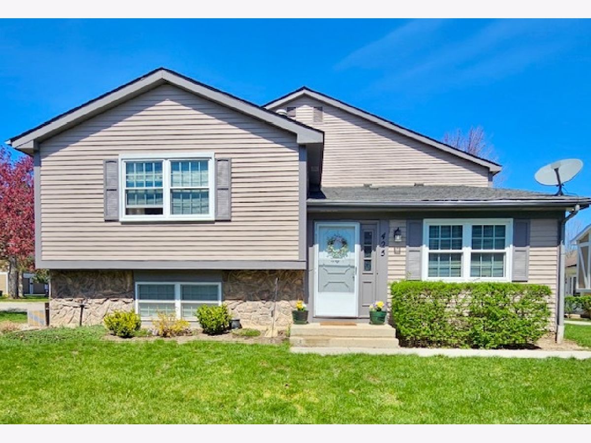 Townhomes & Condos Sold Westwood Vernon Hills Illinois, 425 Tanglewood