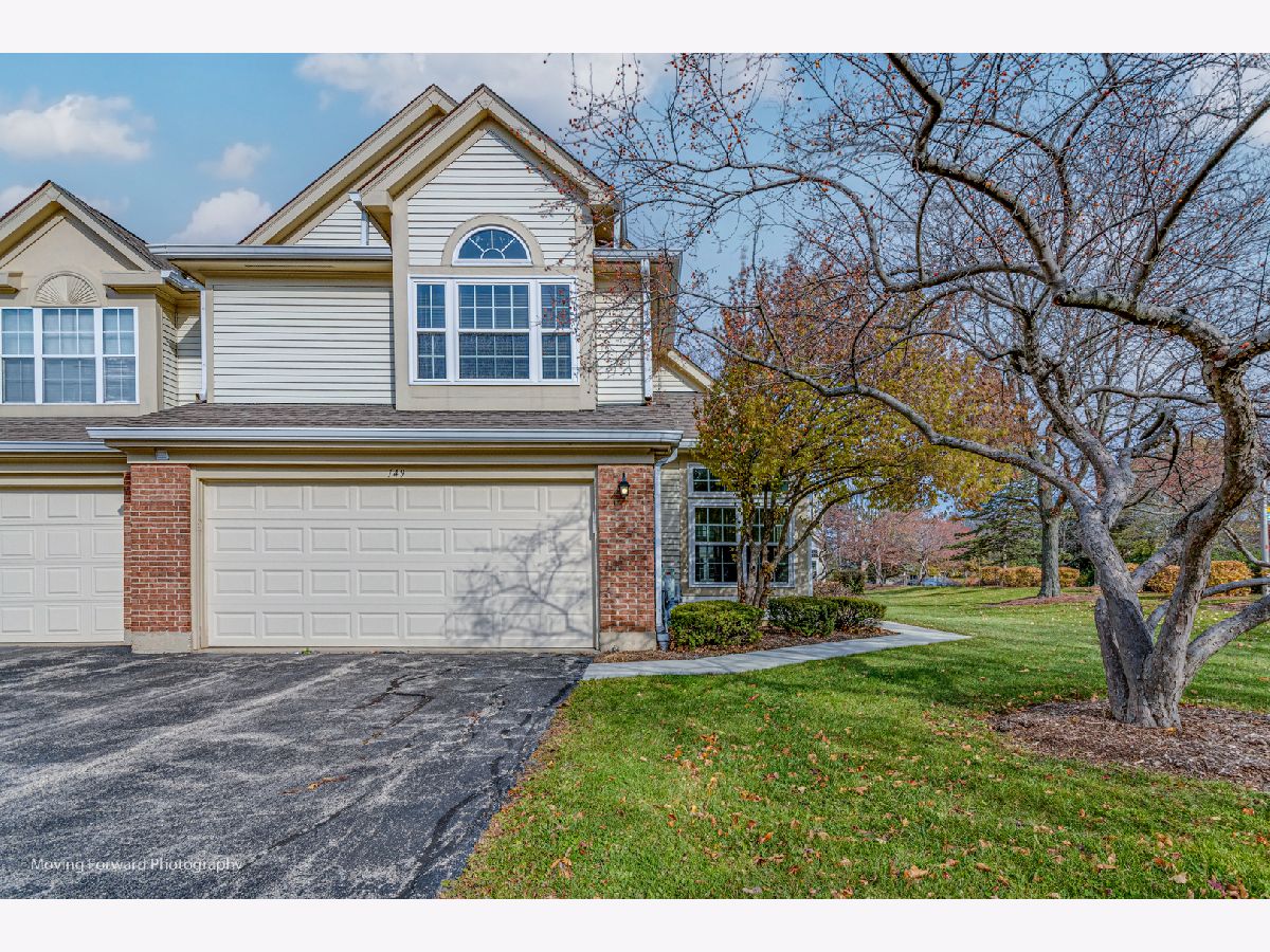 Condos & Townhomes Sold Town Place Schaumburg Illinois, 149 White Branch