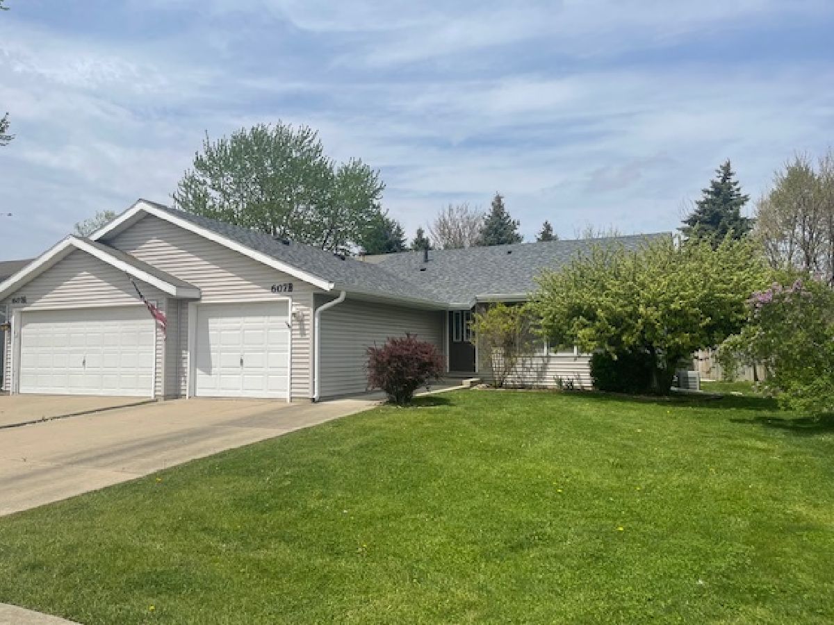 Homes & Townhomes Sold The Meadows Minooka Illinois, 607 Davidson