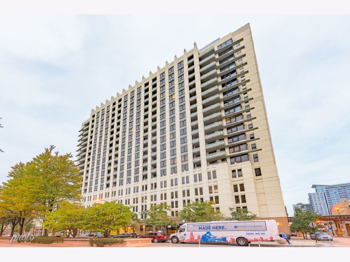 Condominiums Rented Vision On State Chicago Illinois, 1255 State