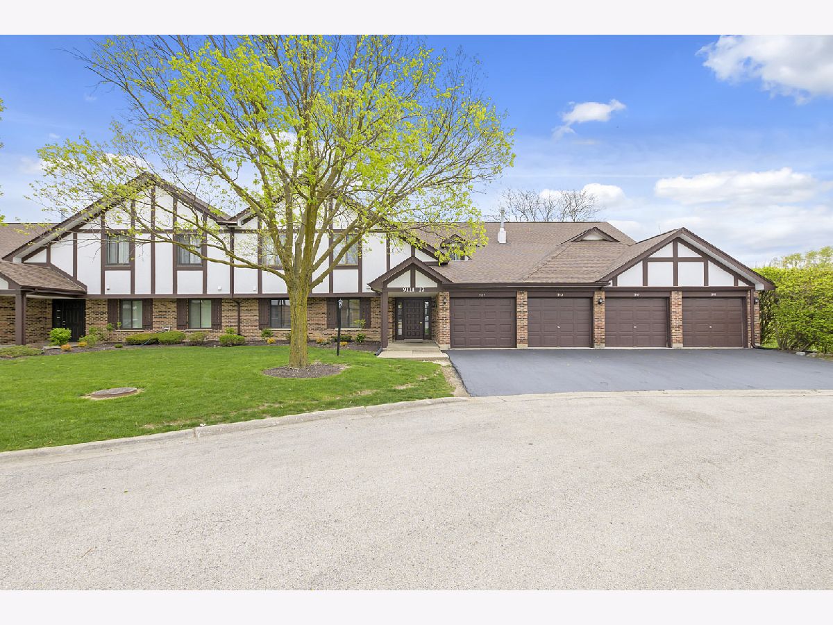 Condos & Townhomes Sold Somerset Orland Park Illinois, 9111 Sandpiper