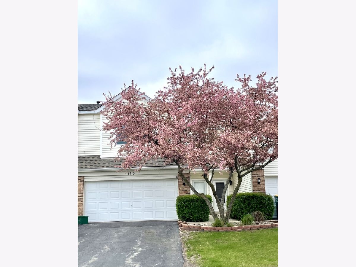  Rented Shorewood Illinois