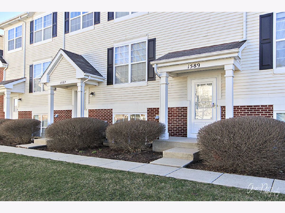 Townhomes & Condos Sold Heron Bay Round Lake Illinois, 1589 Turtle Creek