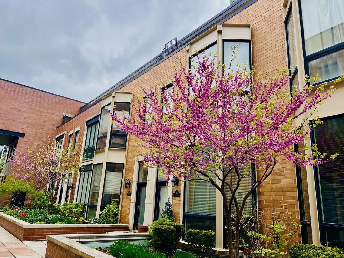 Townhomes Sold Fulton Court Chicago Illinois, 309 Union