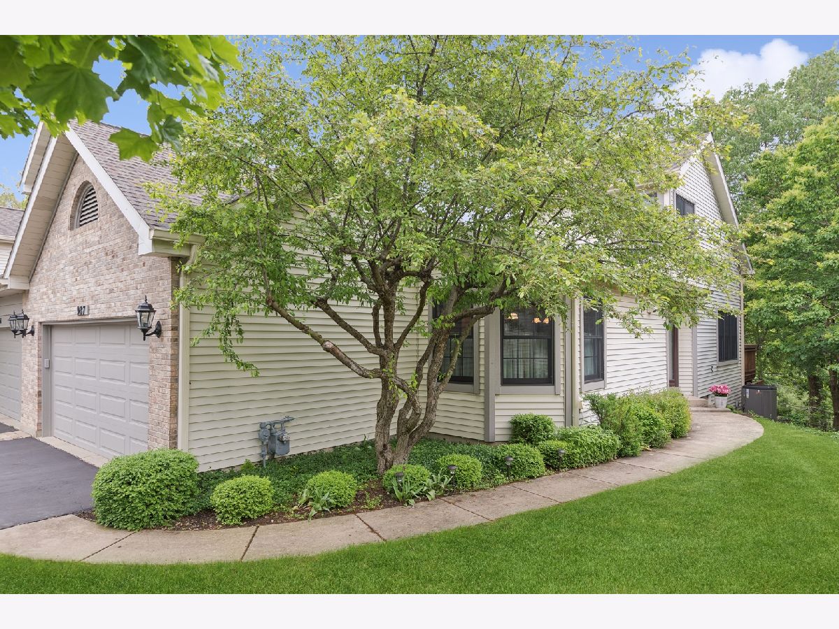 Townhomes Sold Auburn Woods Palatine Illinois, 987 Auburn Woods