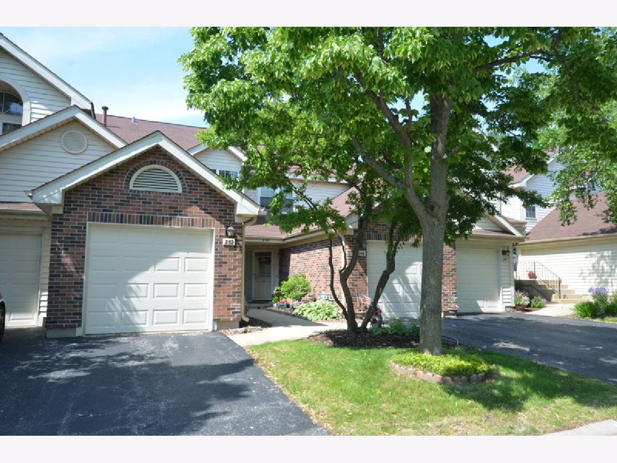 Townhomes & Condos Rented Hamilton Creek Palatine Illinois, 252 Hamilton