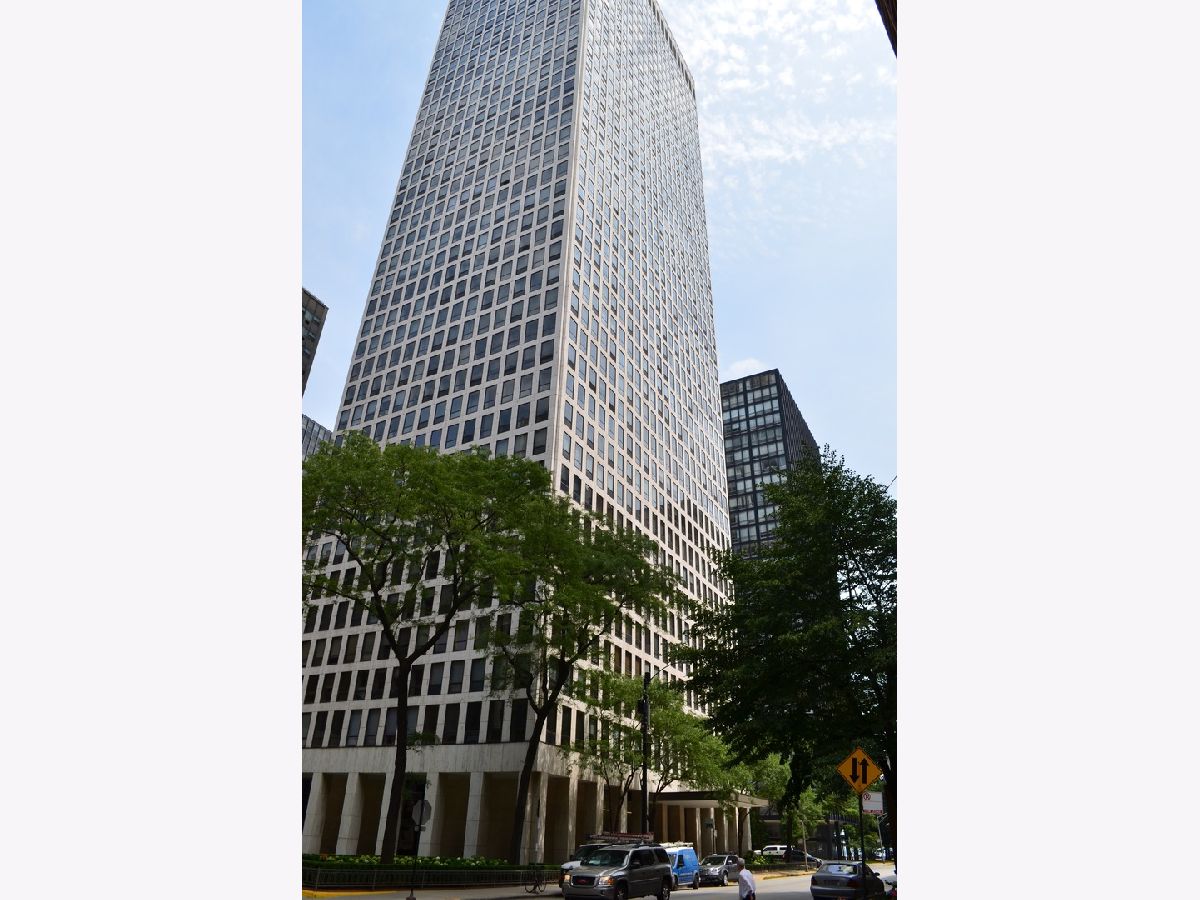 Condominiums Rented Plaza On Dewitt Chicago Illinois, 260 Chestnut