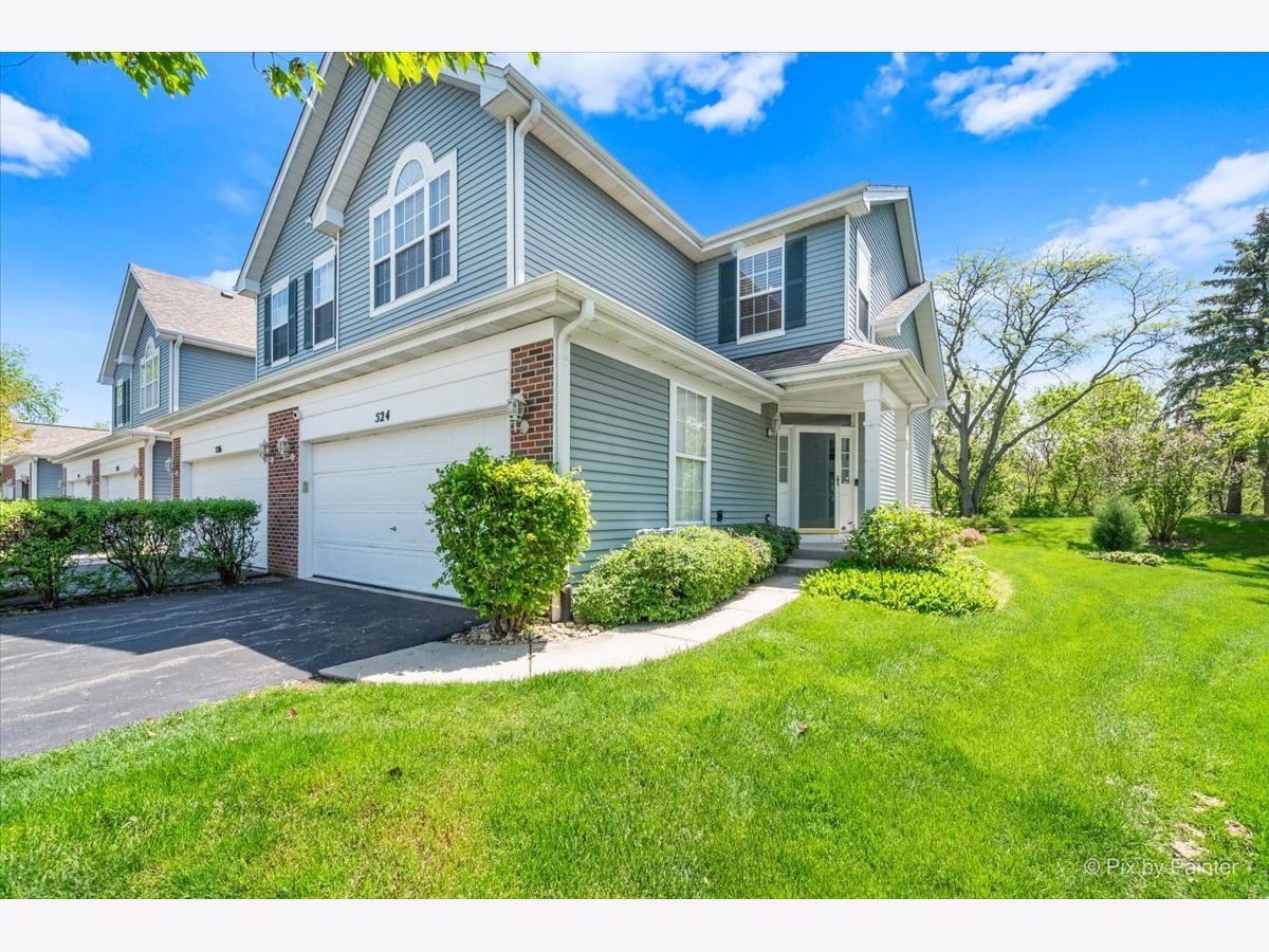 Townhomes & Homes Sold Reserve Of East Dundee East Dundee Illinois, 524 King