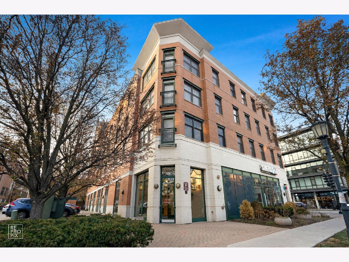 Condos & Townhomes Sold Euclid Commons Oak Park Illinois, 125 Euclid