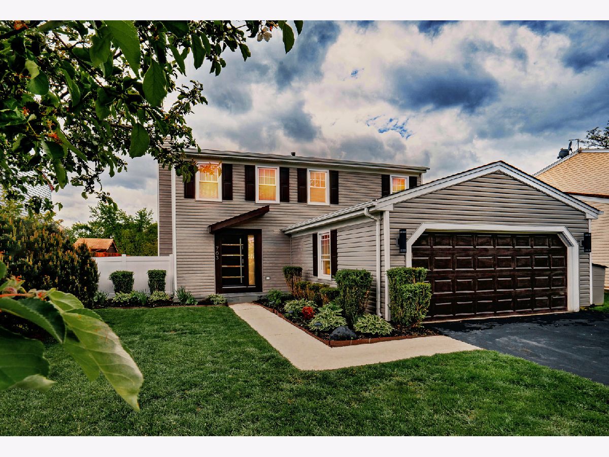 Homes Sold Shining Waters Carol Stream Illinois, 703 Cimarron