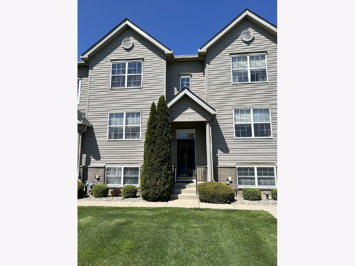 Townhomes & Homes Sold Pine Valley Lockport Illinois, 2013 Austrian Pine