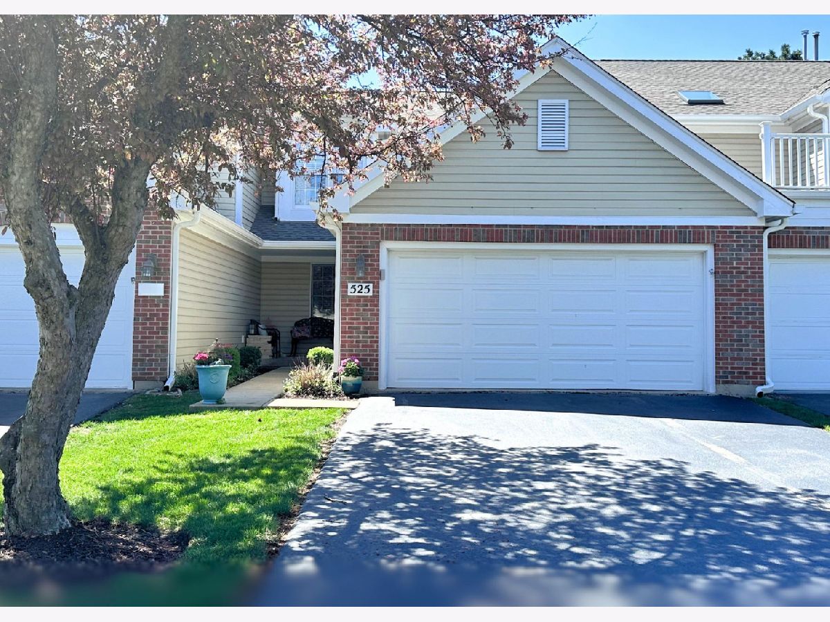 Condos & Townhomes & Homes Sold Williamsburg Village Geneva Illinois, 525 Bradbury