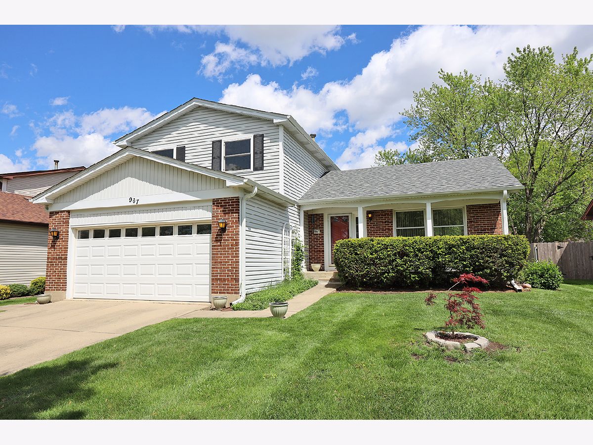Homes Sold Parkview Elk Grove Village Illinois, 967 David